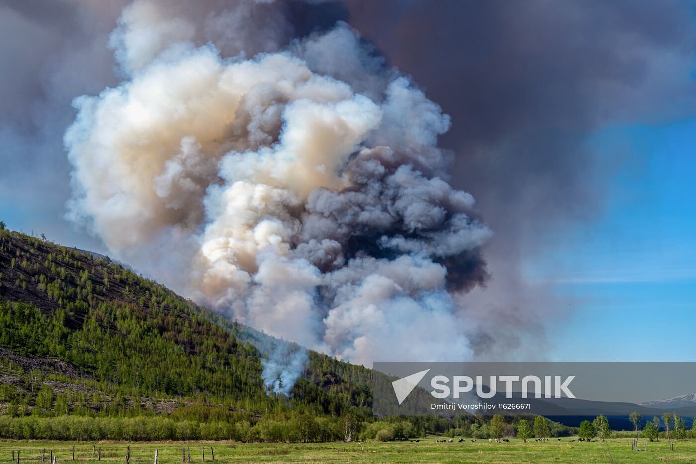 Russia Wildfires