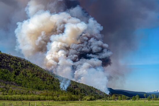 Russia Wildfires