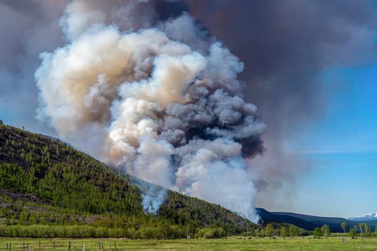 Russia Wildfires
