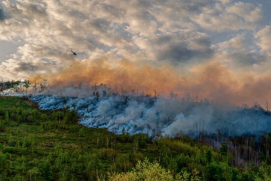 Russia Wildfires