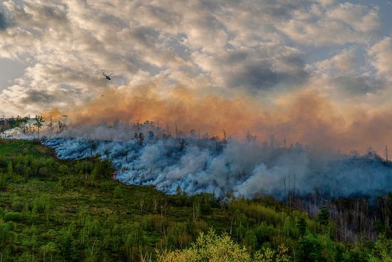 Russia Wildfires