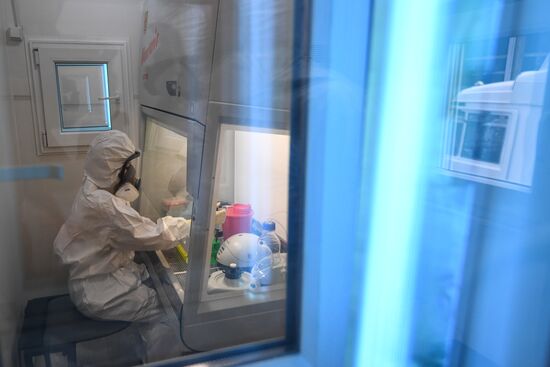 Russia Coronavirus Tests