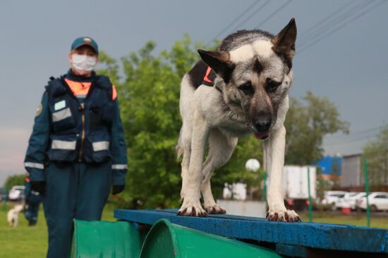 Russia Daily Life