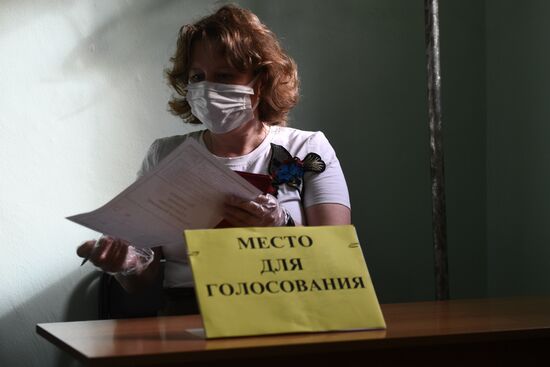 Russia Constitutional Reform Voting