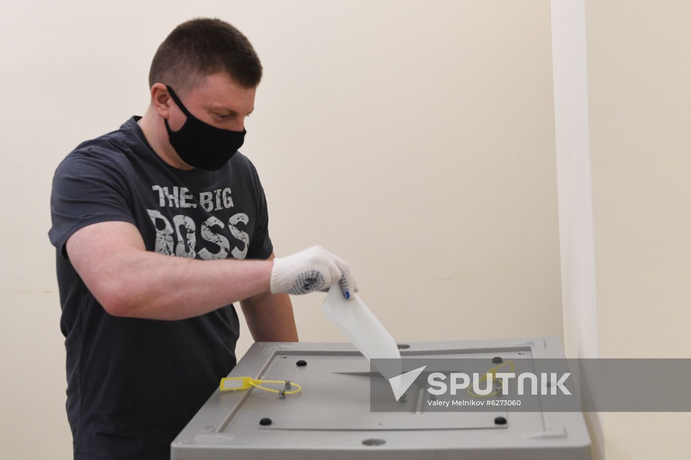 Russia Constitutional Reform Voting