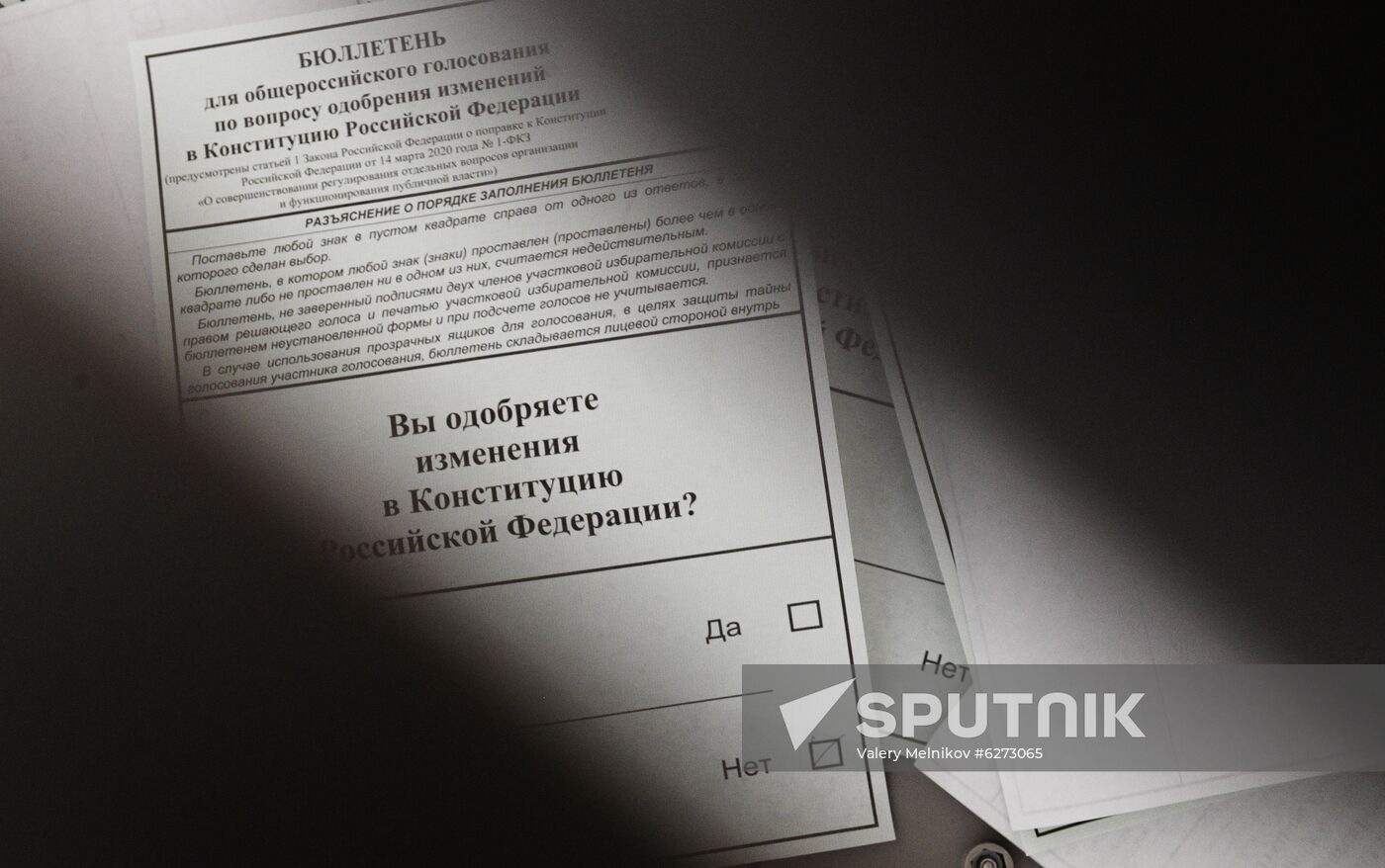 Russia Constitutional Reform Voting