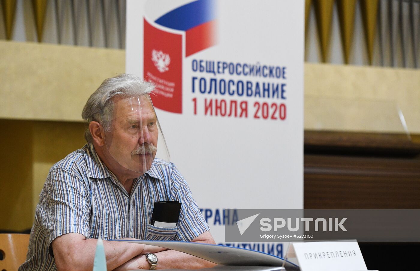 Russia Constitutional Reform Voting