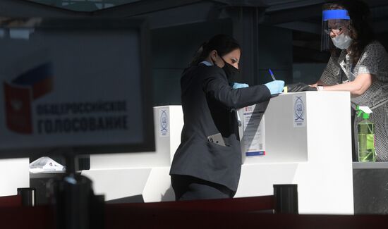 Russia Constitutional Reform Voting