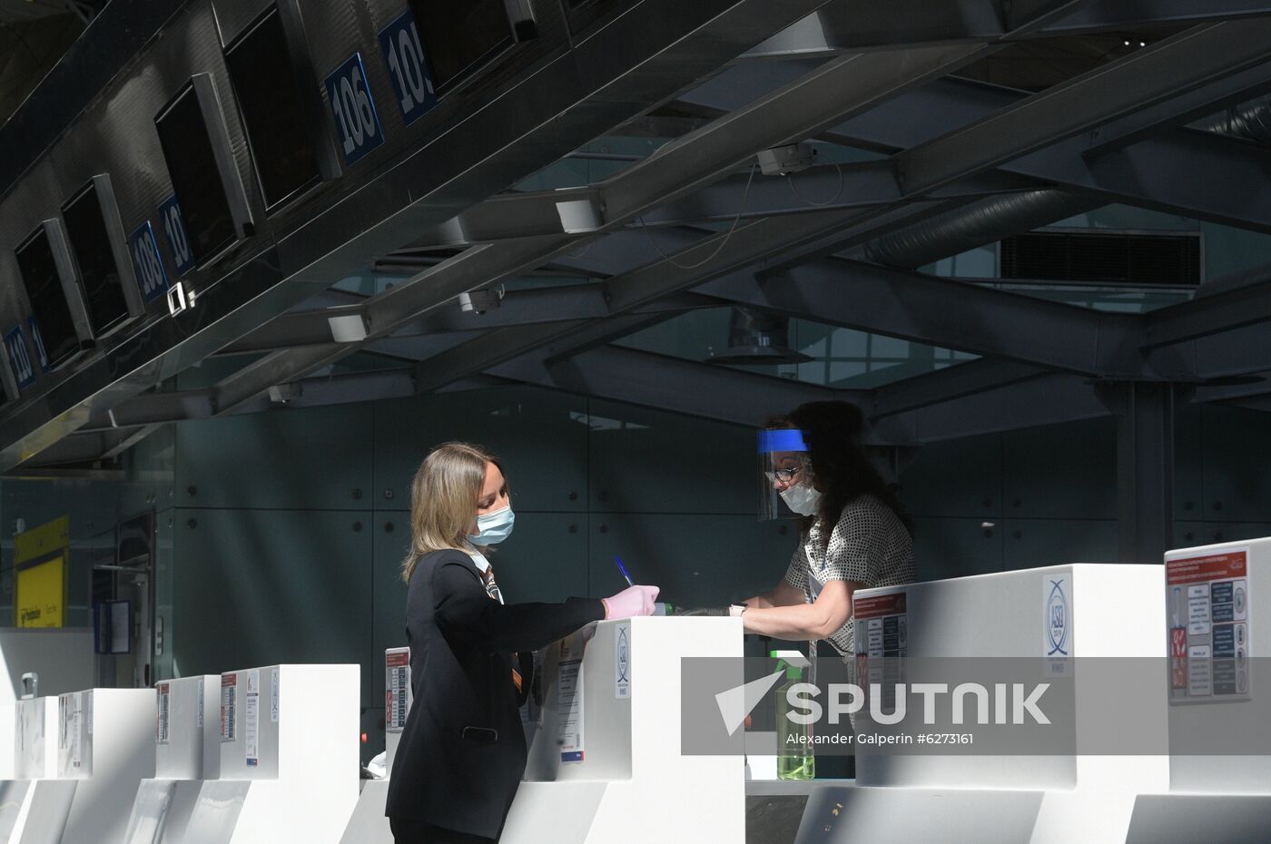 Russia Constitutional Reform Voting