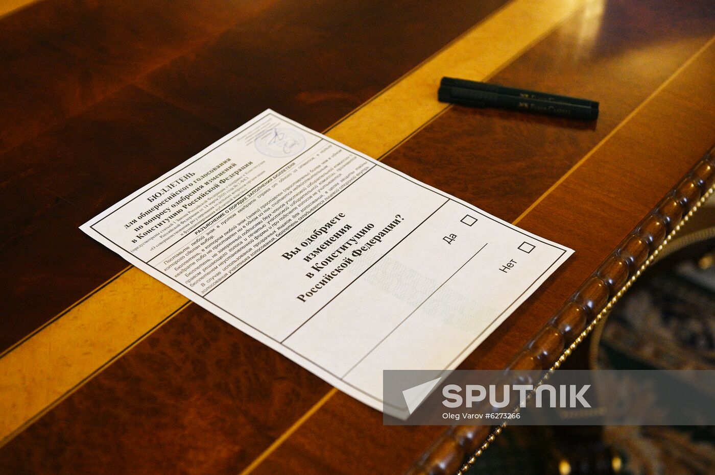 Russia Constitutional Reform Voting
