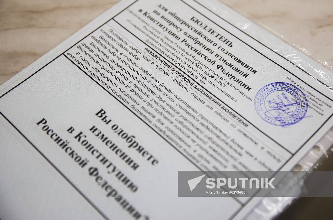 Russia Constitutional Reform Voting