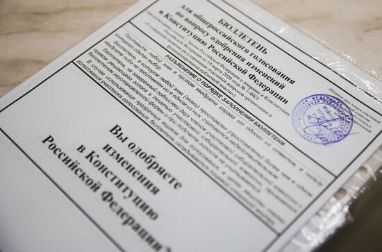 Russia Constitutional Reform Voting