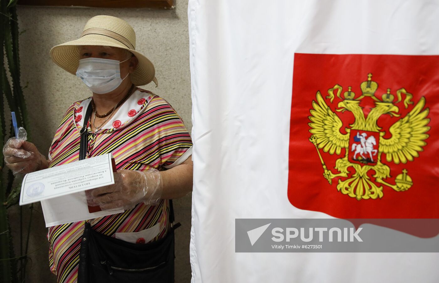 Russia Constitutional Reform Voting