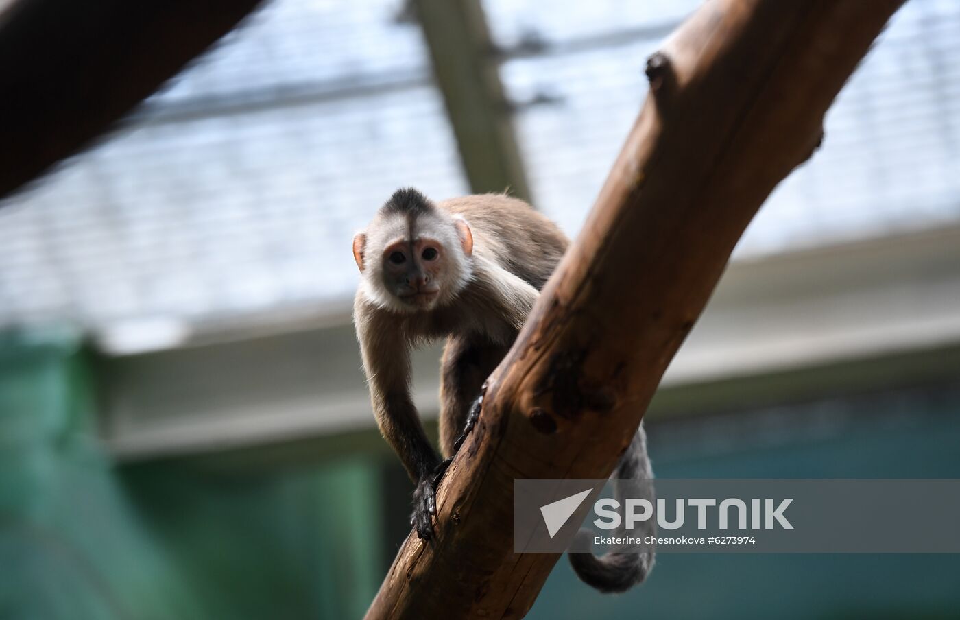 Russia Zoo