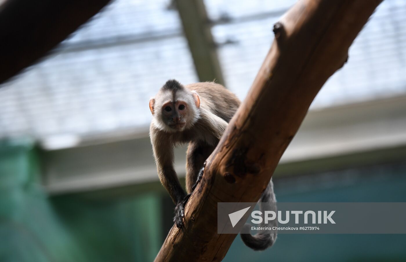 Russia Zoo