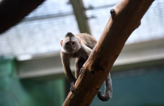 Russia Zoo