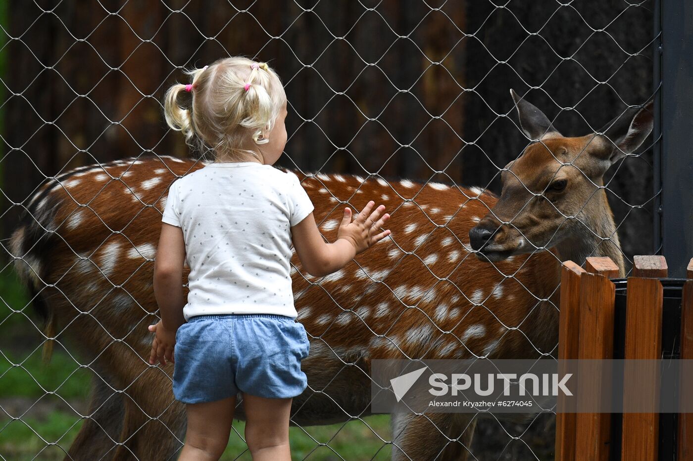 Russia Zoo