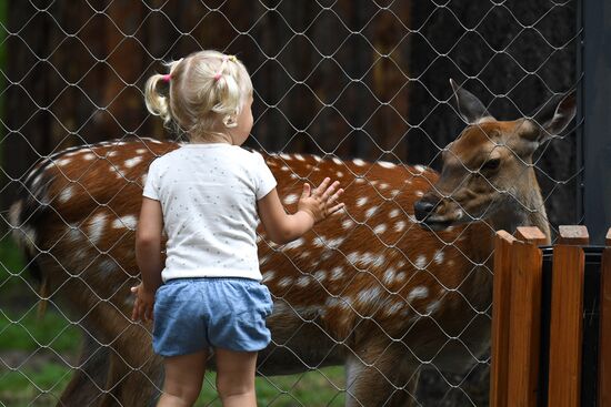 Russia Zoo