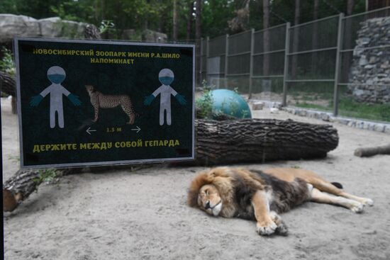 Russia Zoo