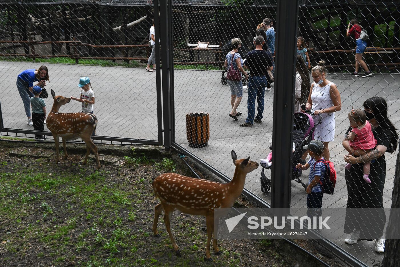 Russia Zoo