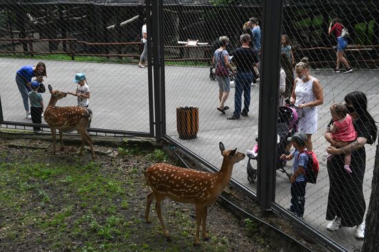 Russia Zoo