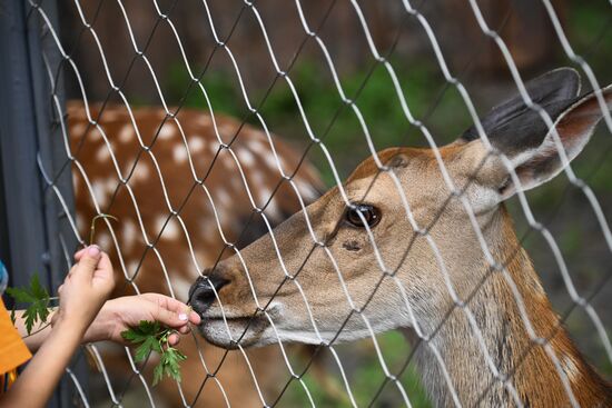 Russia Zoo