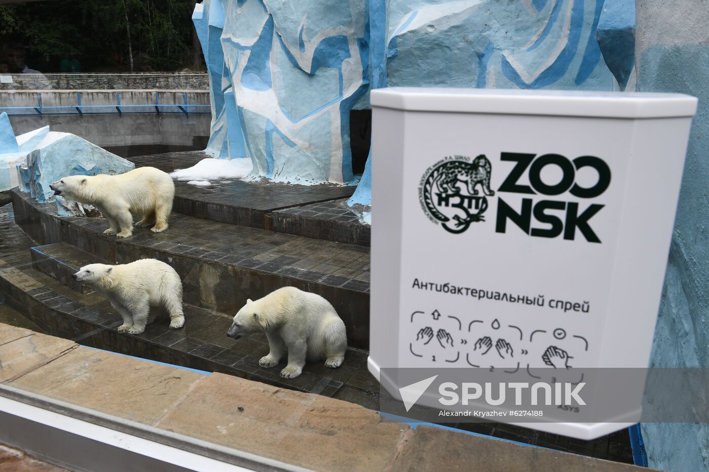 Russia Zoo
