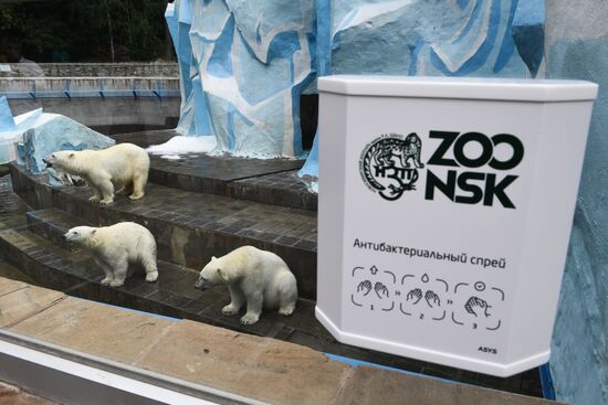 Russia Zoo