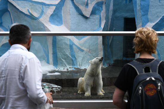 Russia Zoo