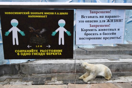 Russia Zoo