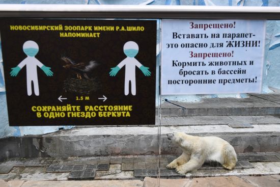 Russia Zoo