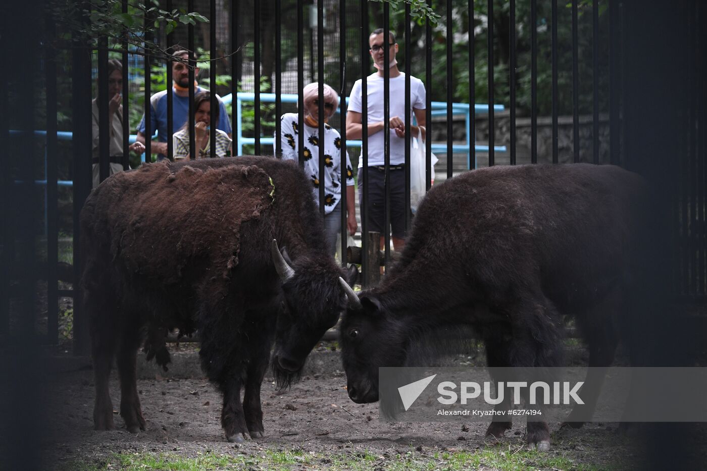 Russia Zoo