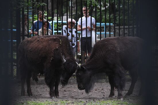 Russia Zoo