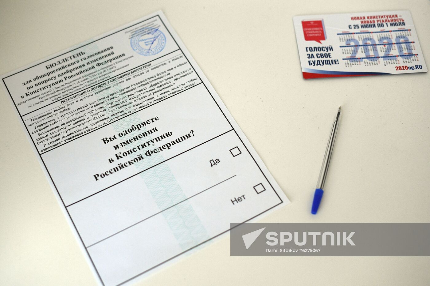 Russia Constitutional Reform Voting