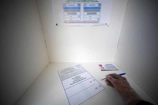 Russia Constitutional Reform Voting