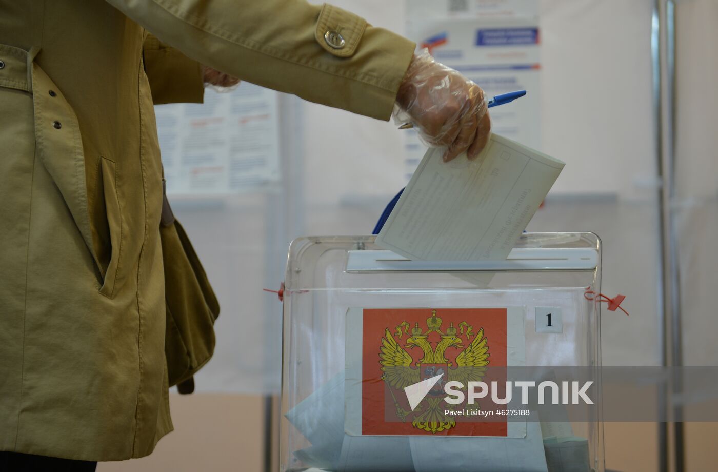 Russia Constitutional Reform Voting