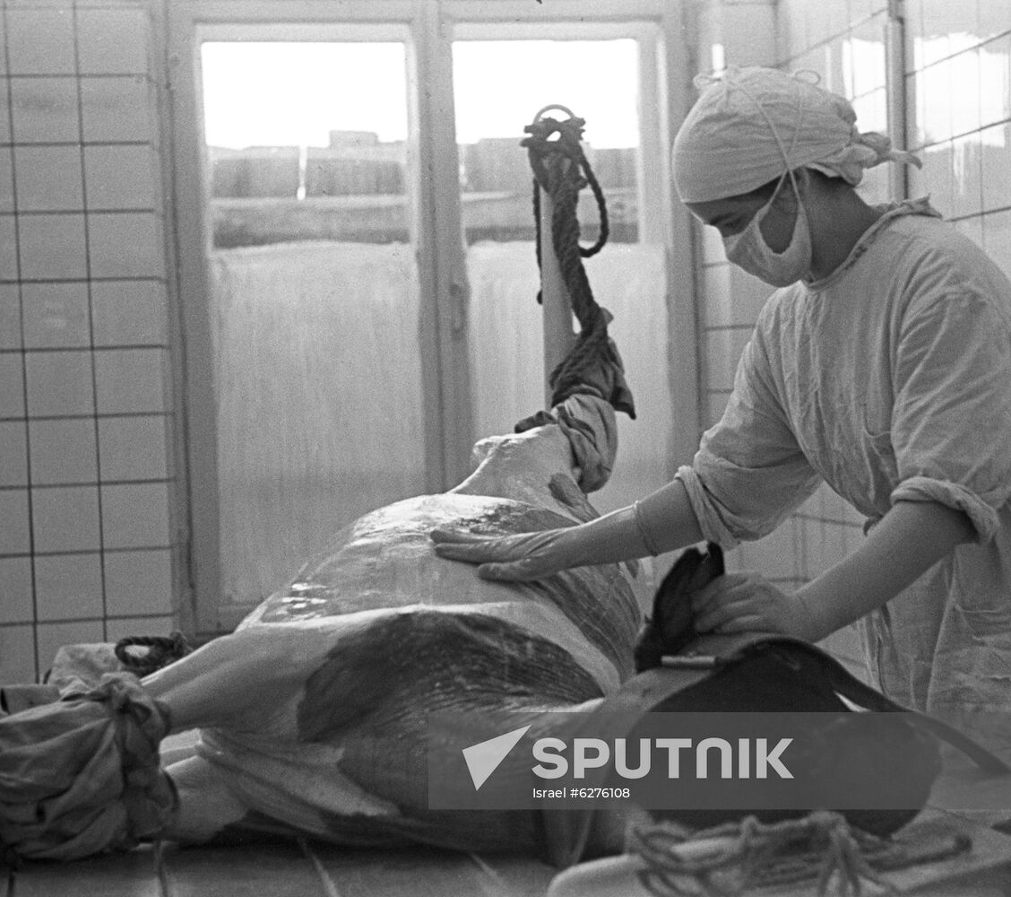 Moscow Virus Preparation Research Institute