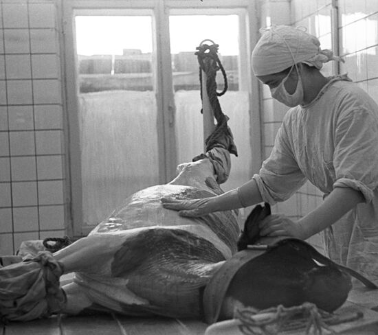 Moscow Virus Preparation Research Institute