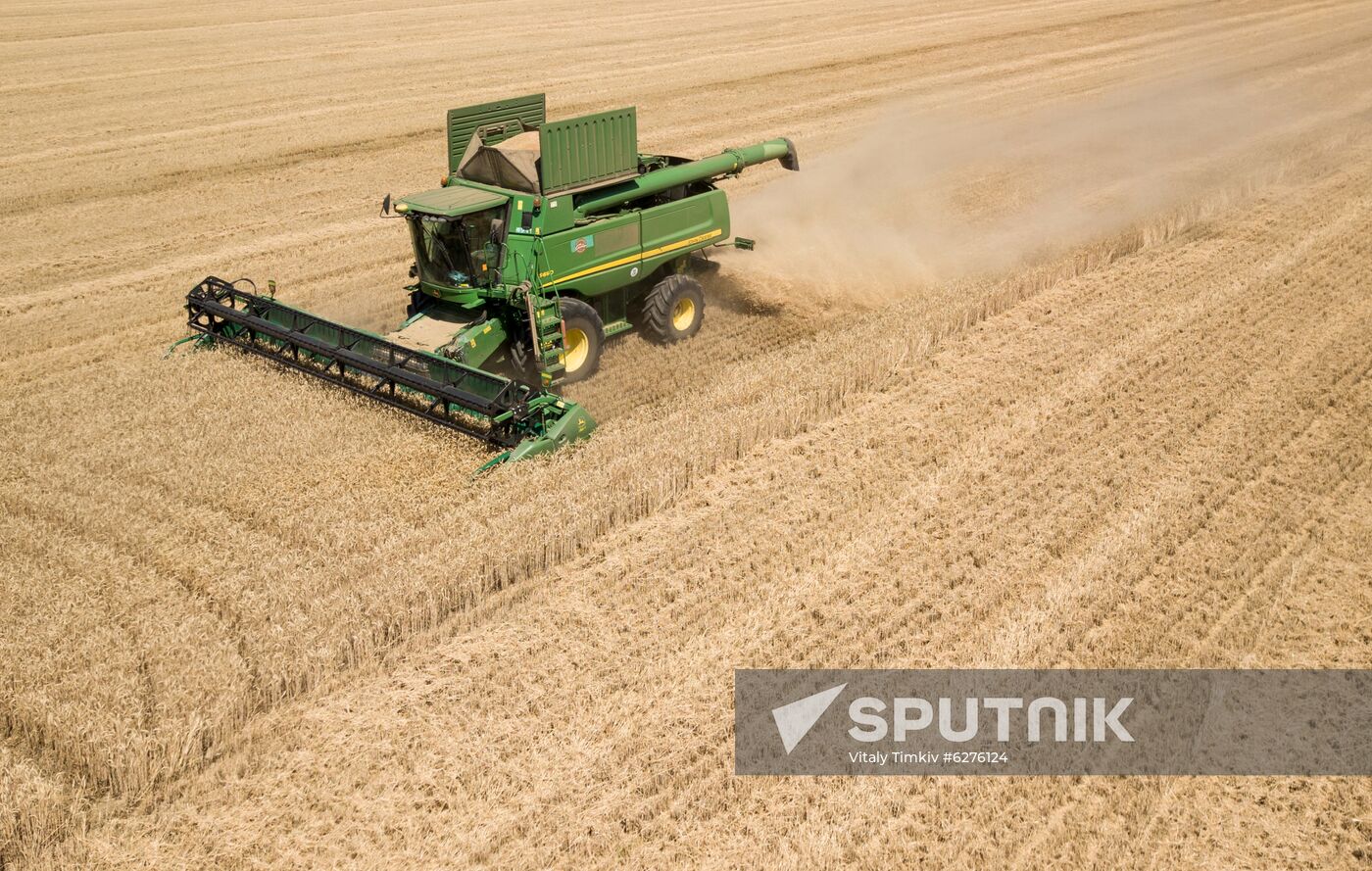 Russia Wheat Harvest