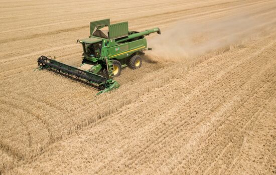 Russia Wheat Harvest