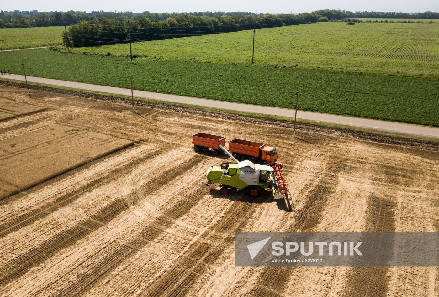 Russia Wheat Harvest