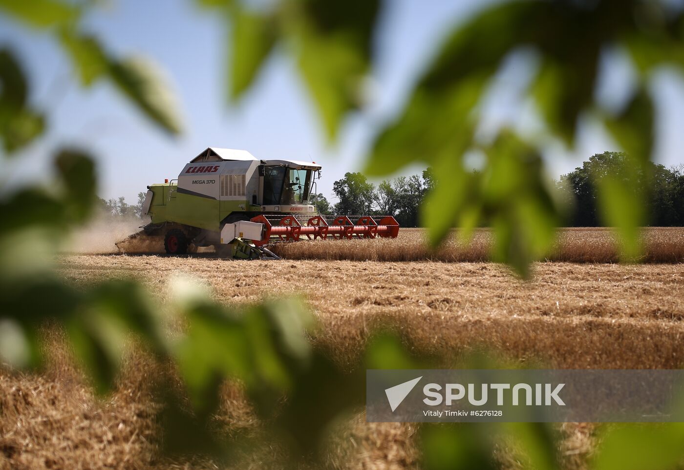 Russia Wheat Harvest