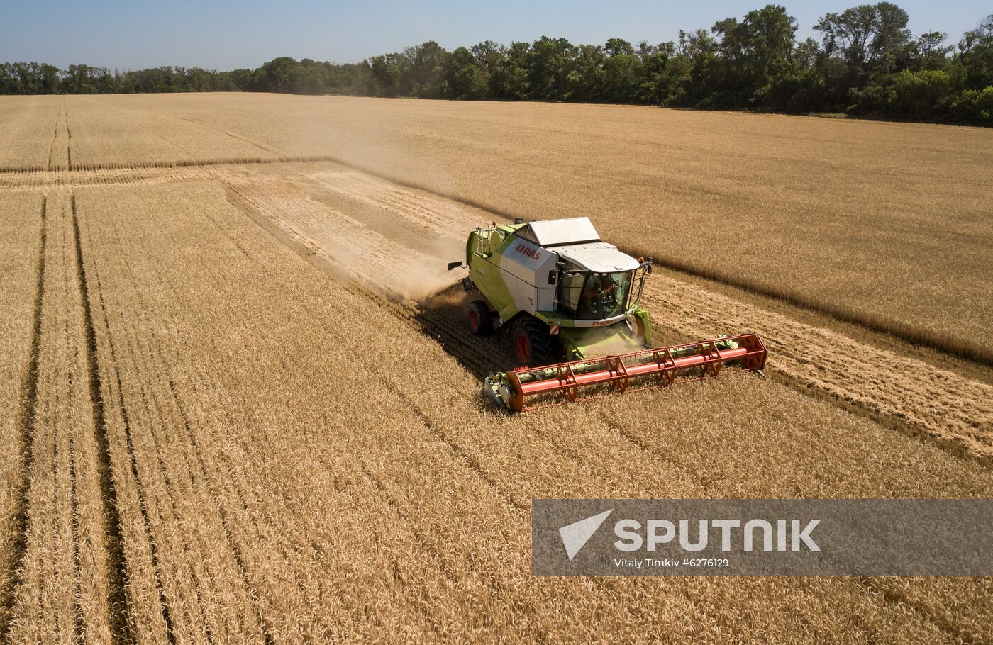 Russia Wheat Harvest
