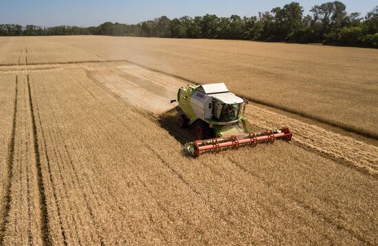 Russia Wheat Harvest
