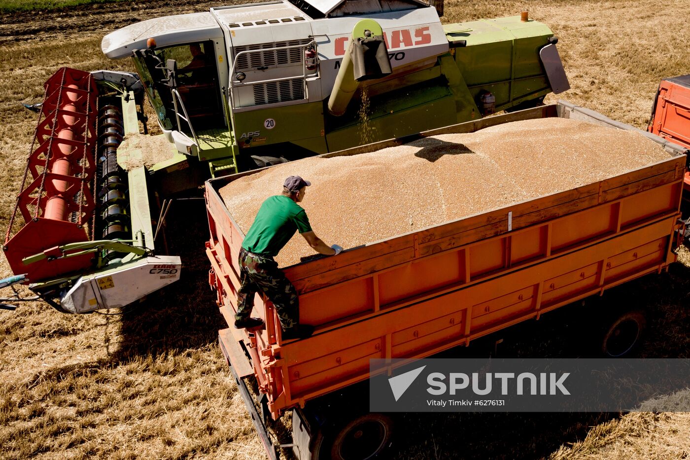 Russia Wheat Harvest