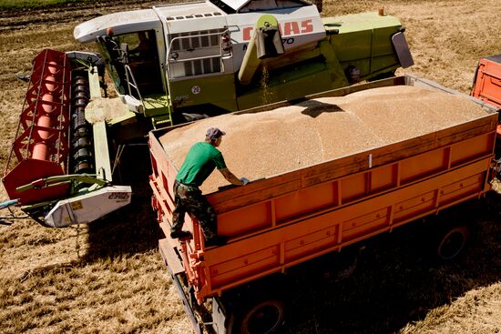 Russia Wheat Harvest
