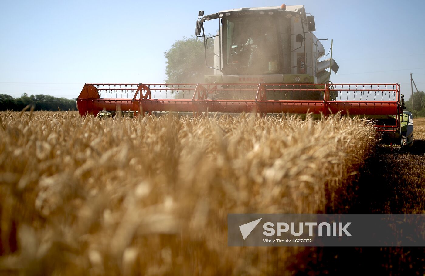 Russia Wheat Harvest