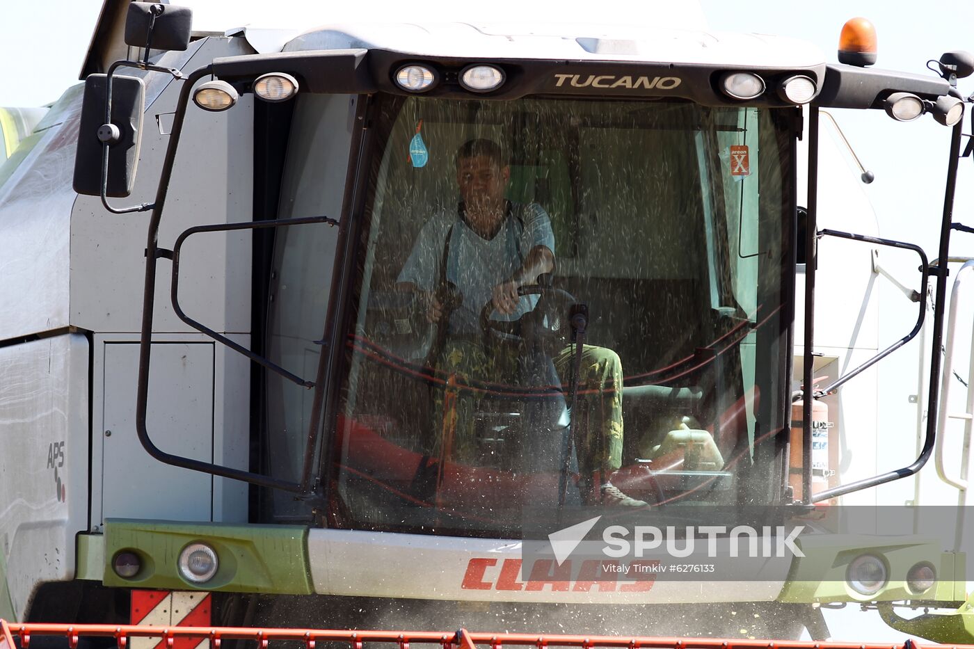 Russia Wheat Harvest