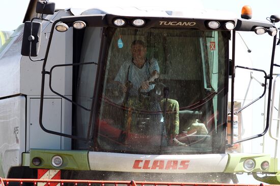 Russia Wheat Harvest