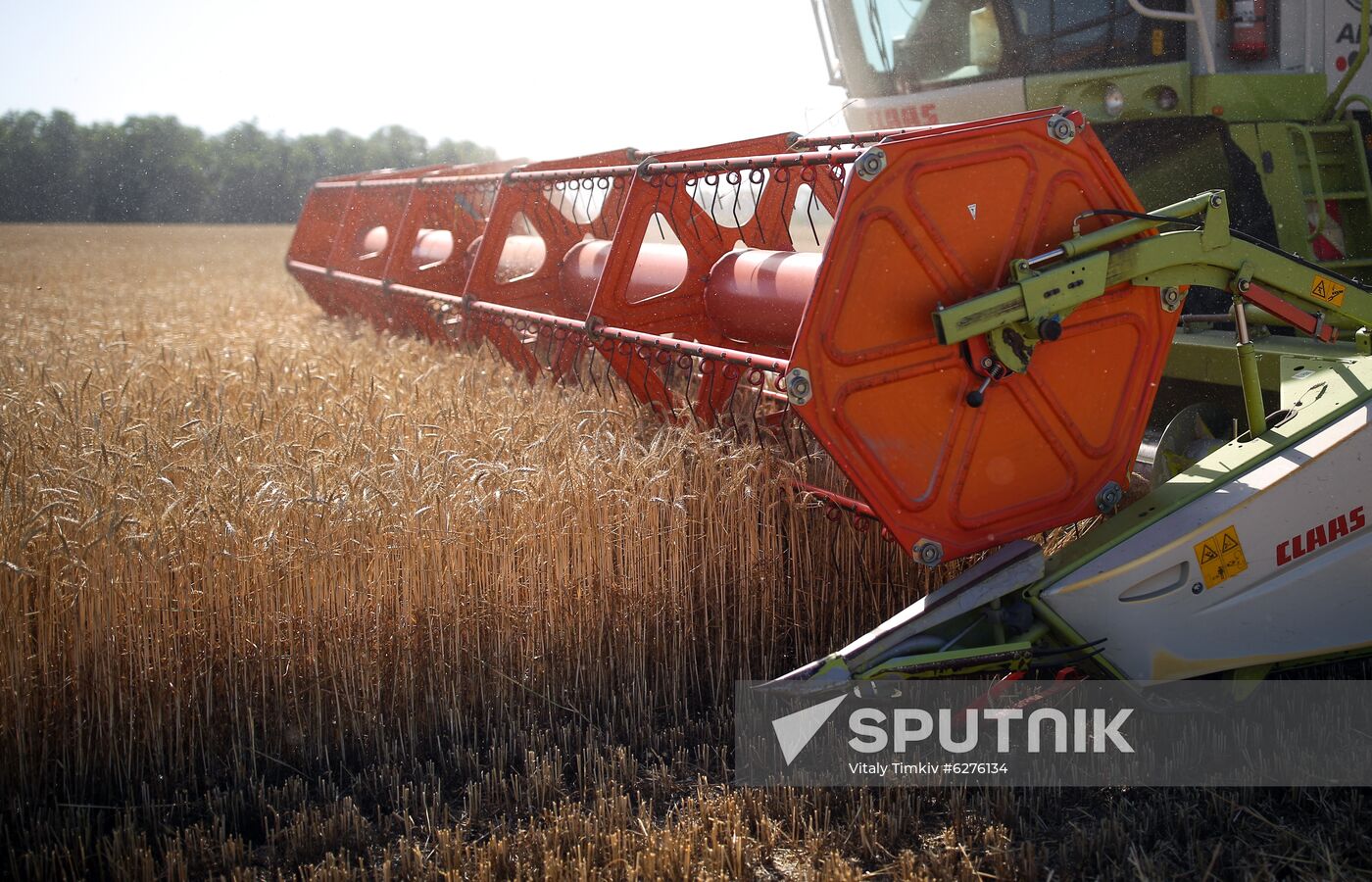 Russia Wheat Harvest